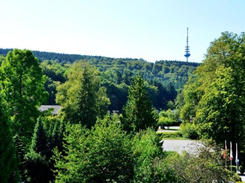 zimmerbild einzelzimmer waldblick