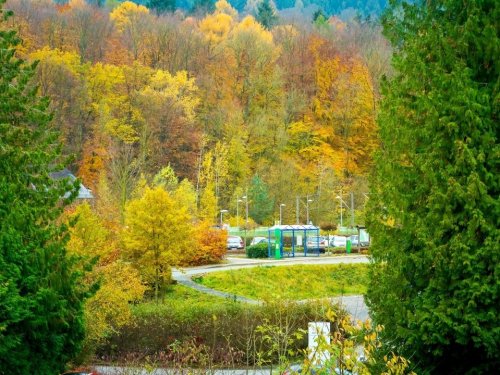 zimmerbild einzelzimmer waldblick