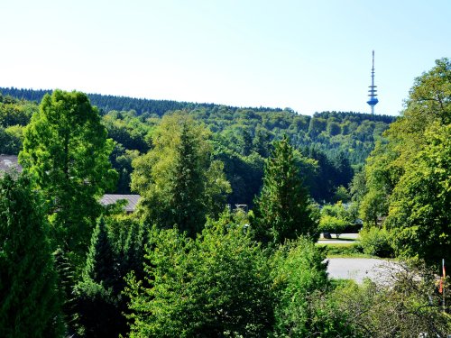 zimmerbild doppelzimmer waldblick