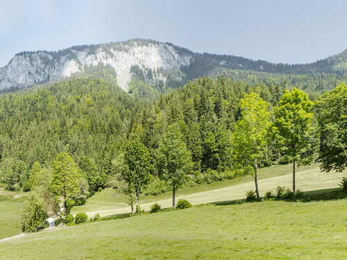 zimmerbild doppelzimmer gartenblick