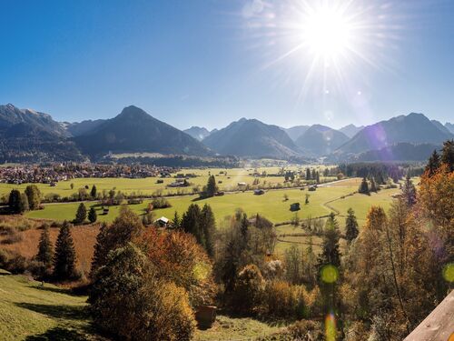 zimmerbild einzelzimmer basis