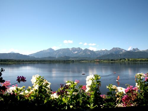 zimmerbild appartement bergblick